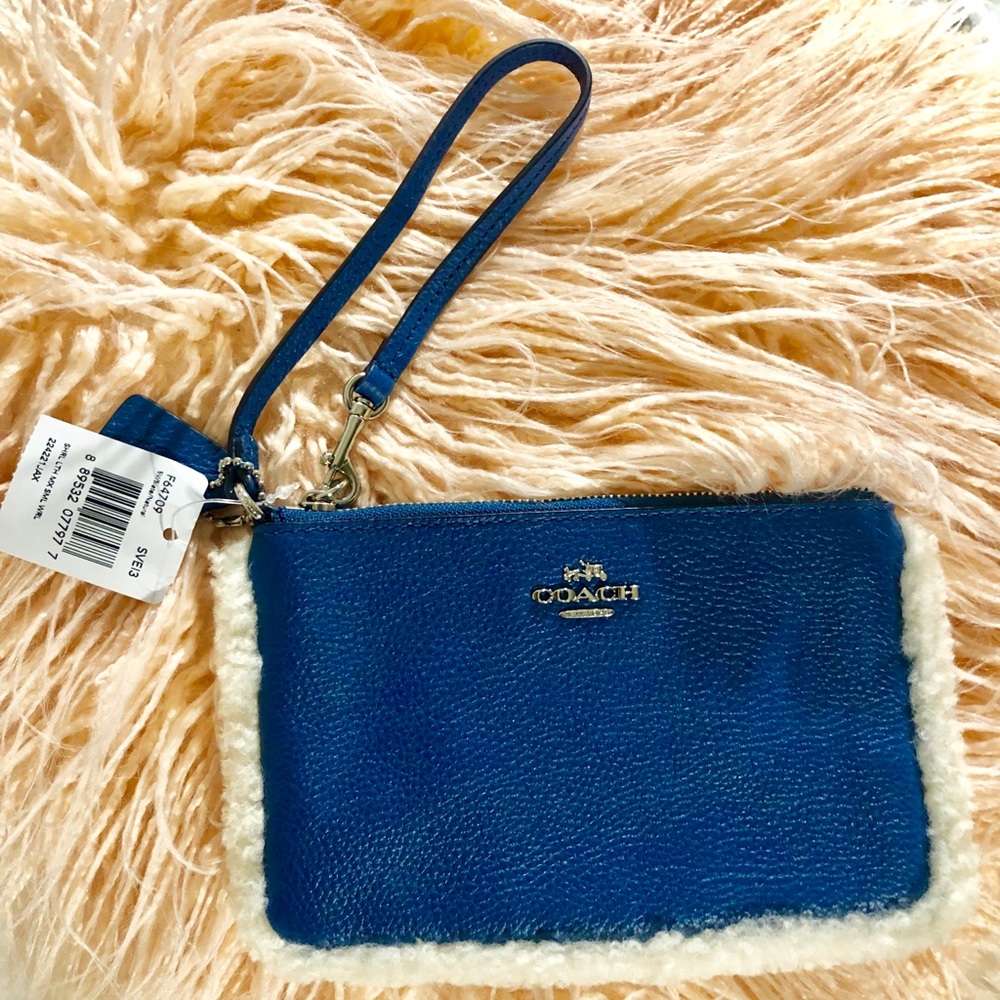 Blue Coach Clutch